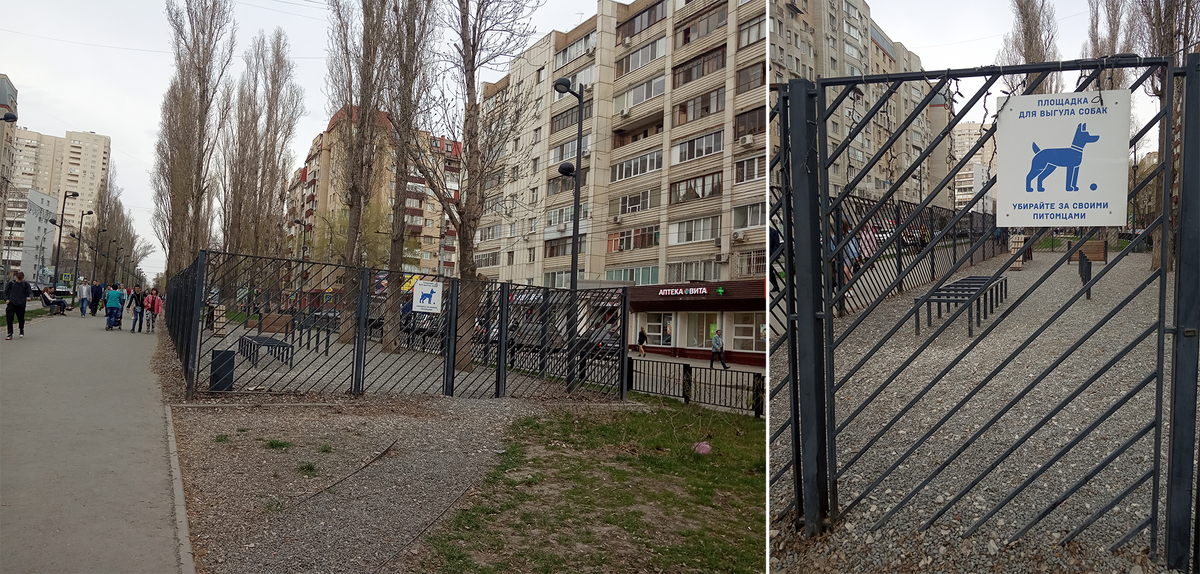 В Саратове площадка для выгула собак выглядит вот так: огорожена забором, обозначена информационной табличкой, посыпана гравием. От моего дома до такой площадки 3 км