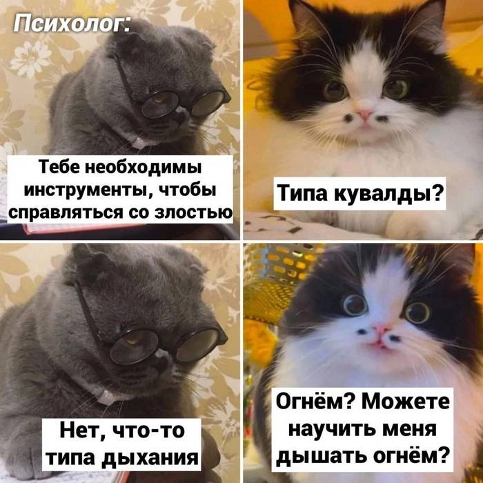 Изображение пользователя синьорина Болла
