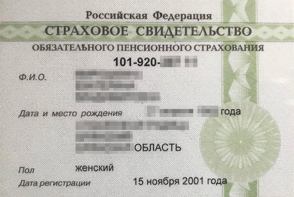 Так выглядят зеленые карточки со страховым номером. Они еще действуют, но новые уже не выдают