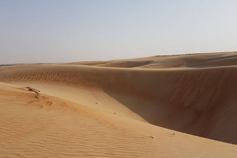 Пустыня Лива в эмирате Абу-Даби. От Дубая до Абу-Даби ехать пару часов. Сафари по пустыням — еще одно излюбленное увлечение туристов