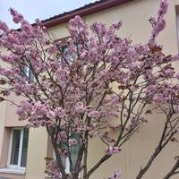 Дарья Савельева