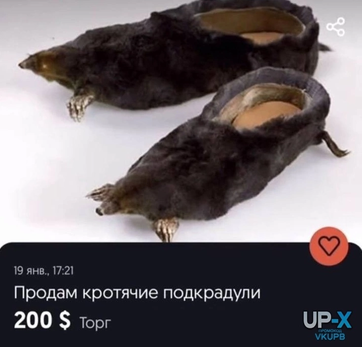 Изображение пользователя Даниил Богатырёв
