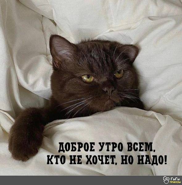 Галина