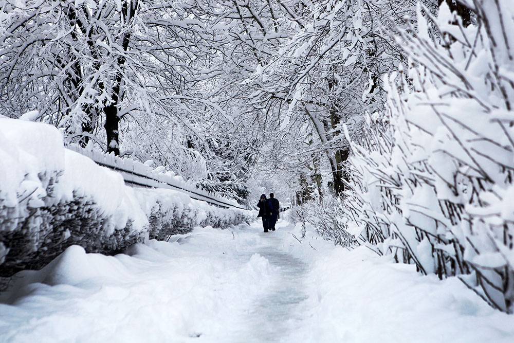 Практически каждую зиму в Краснодаре выпадает снег, но не всегда так обильно, как в 2022&nbsp;году