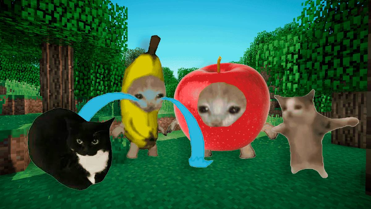 Плачущий кот-банан, Максвелл и Happy Happy Happy: откуда появились мемные видео с котами