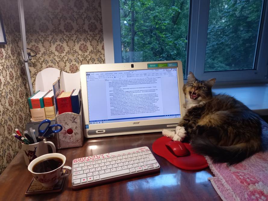 Изображение пользователя cat owner