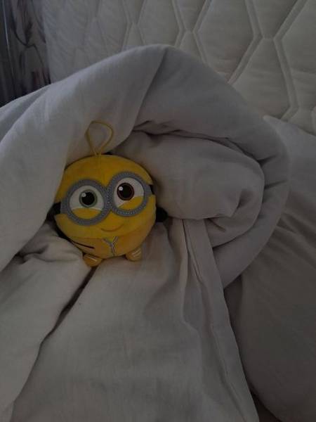 биполяров сын бляди