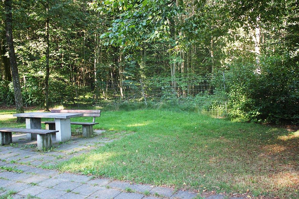 Перед забором стоял стол для&nbsp;завтрака