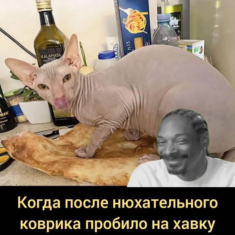 Изображение пользователя Винсент