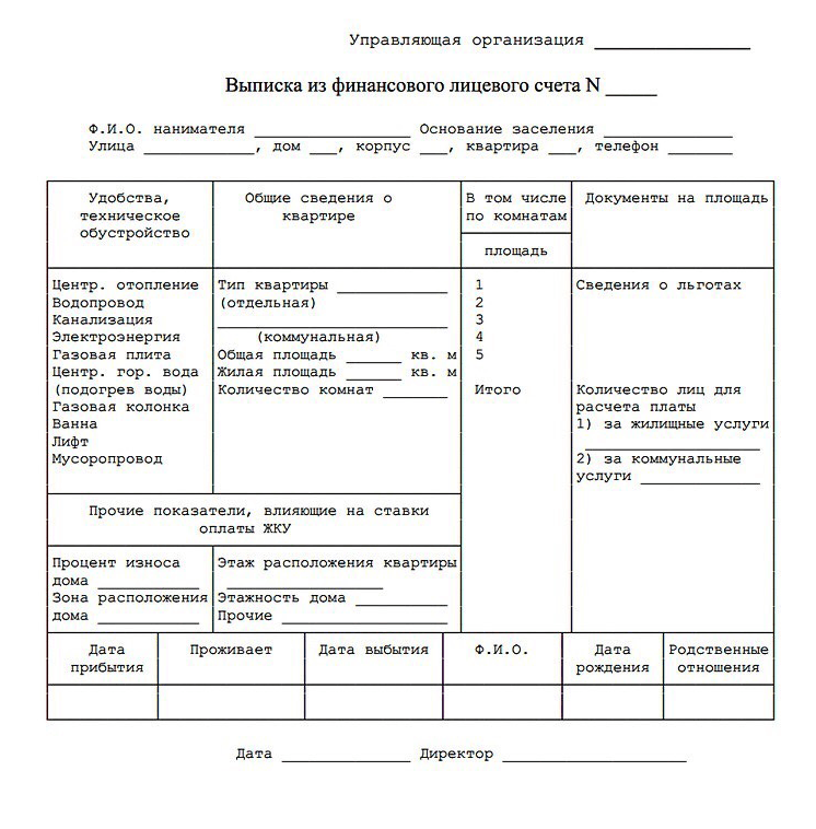 Бланк выписки из финансового лицевого счета