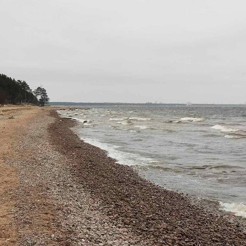 Пляж в Репино