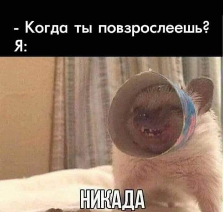 Изображение пользователя Филиппыч