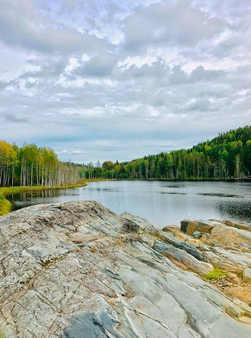 Территория отеля очень красивая: комплекс находится на берегу лесного озера. Фото: Григорий Мартишин