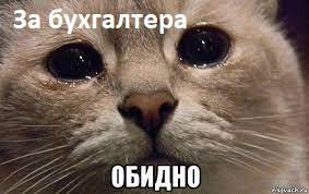 Изображение пользователя 