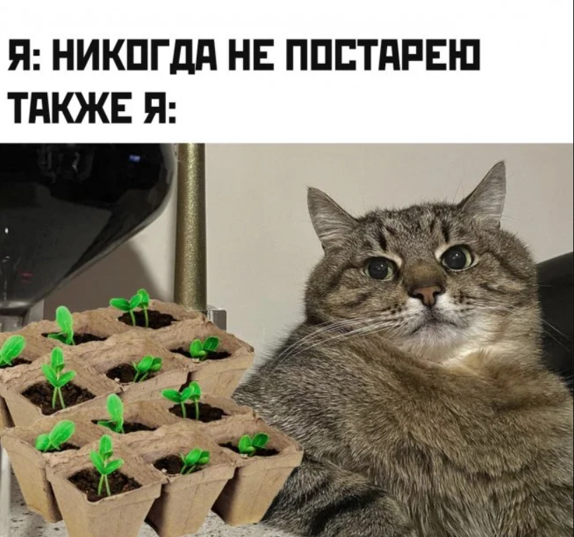 Изображение пользователя Винсент