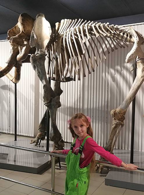 Рядом со скелетом самца мамонта