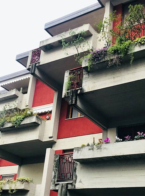 Балконы всегда зеленые и красивые, никаких банок, лыж и хлама — только цветы
