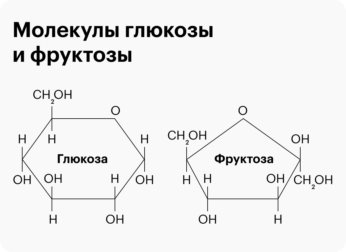 Из-за различия в форме молекул глюкоза и фруктоза по-разному ведут себя в организме