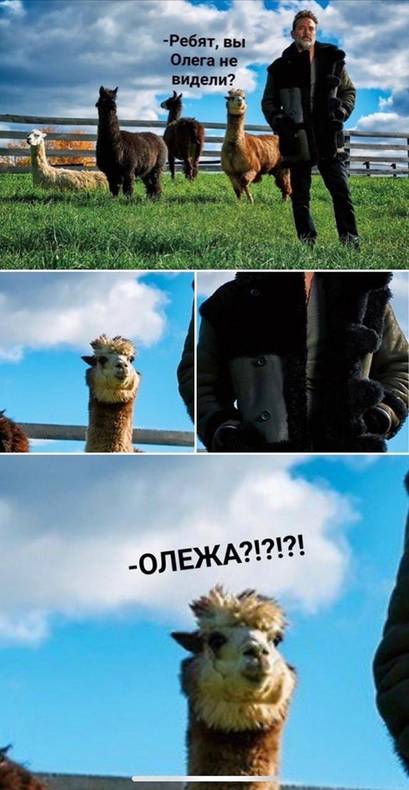 Изображение пользователя Кактус Интроверт