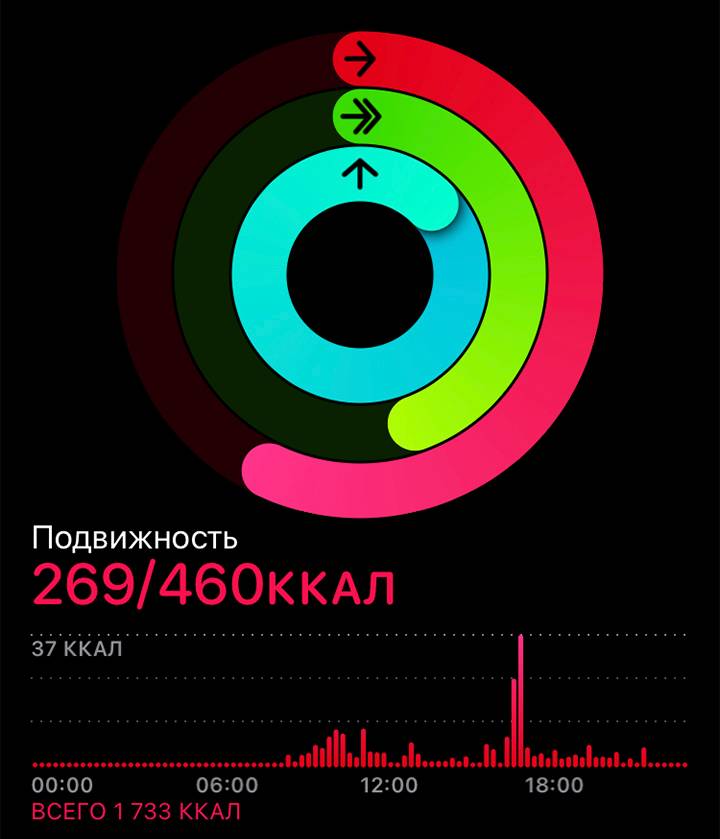 Сводка по дневной активности