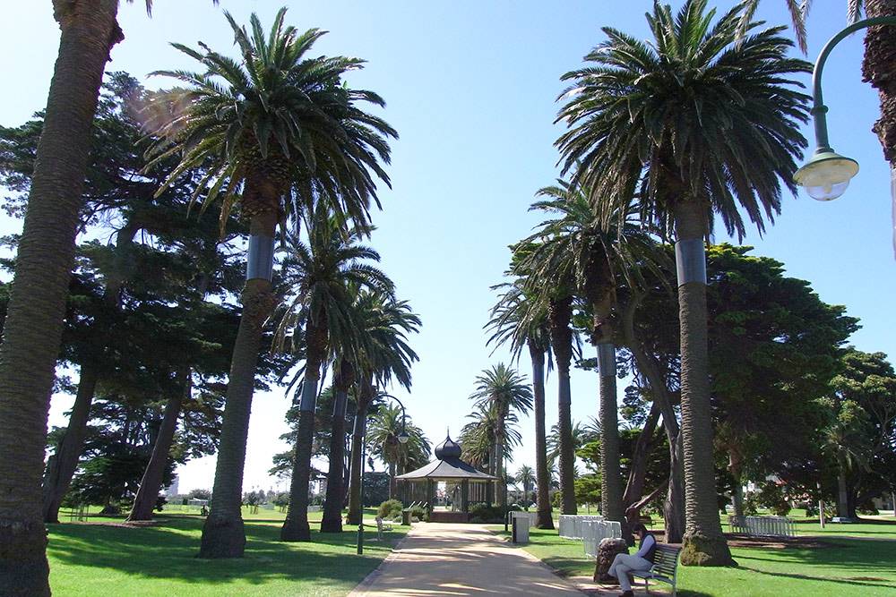 Пальмовая аллея в популярном среди молодежи районе Сент-Килда. Рядом основной пляж Мельбурна