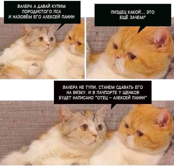 Изображение пользователя Винсент