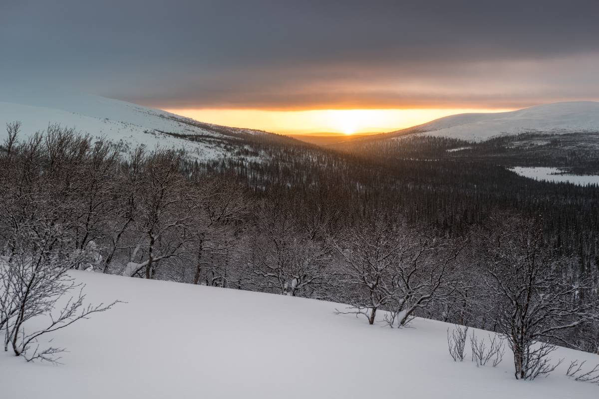 Пейзаж Лапландского заповедника. Фото:&nbsp;EvdokiMari&nbsp;/ Shutterstock