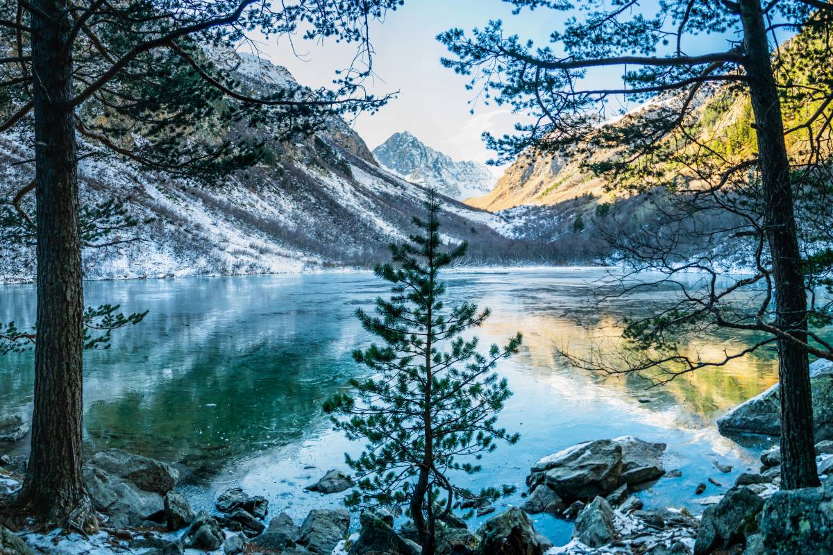 В заповеднике красиво, но мы быстро замерзли, пока по нему ходили. Фото:&nbsp;VarnakovR / Shutterstock