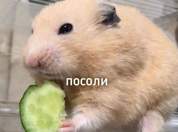 Филола