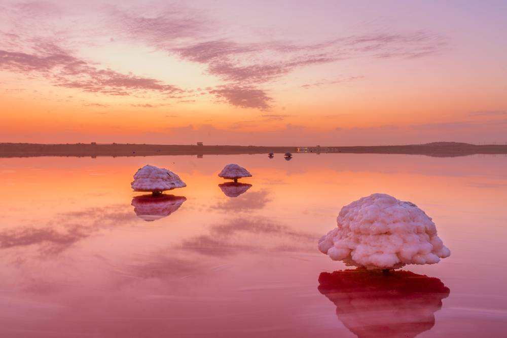 В розовом озере есть отложения соли в форме грибов. Фото: Bikomins / Shutterstock
