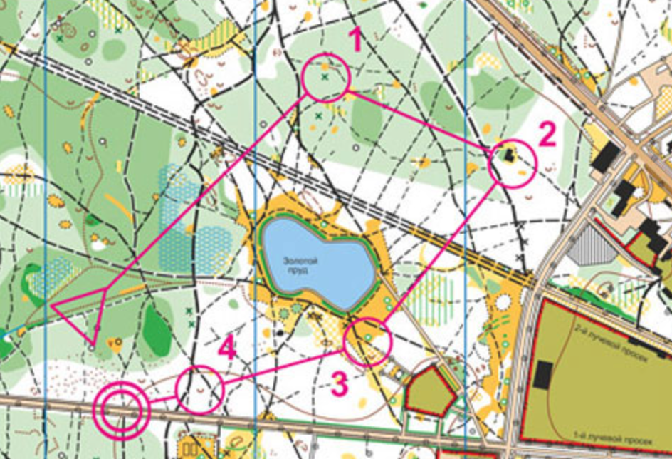 Это спортивное ориентирование: маршрут уже проложен и нарисован на карте — получил карту и бежишь. Источник: orient-murman.ru