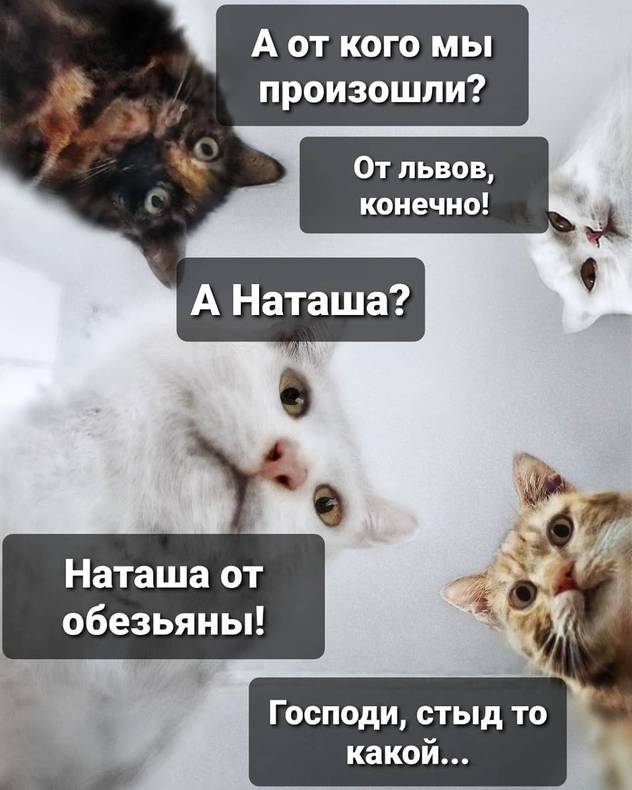 Изображение пользователя Jane