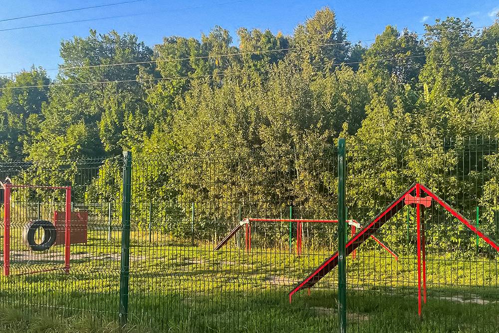У лесопарка огородили специальную зону для&nbsp;выгула собак