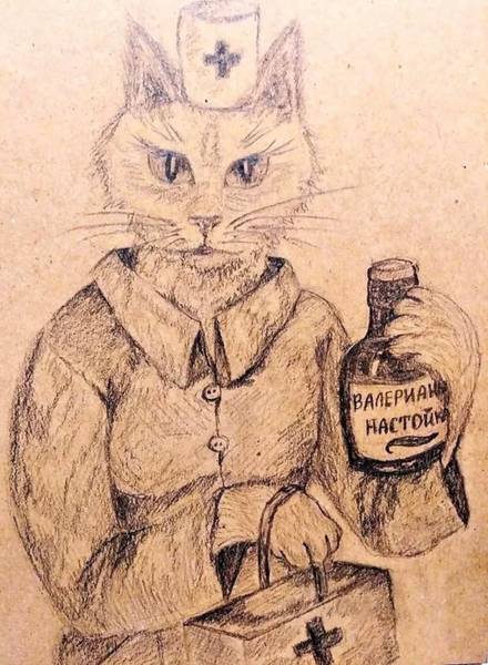 Dr. Kot
