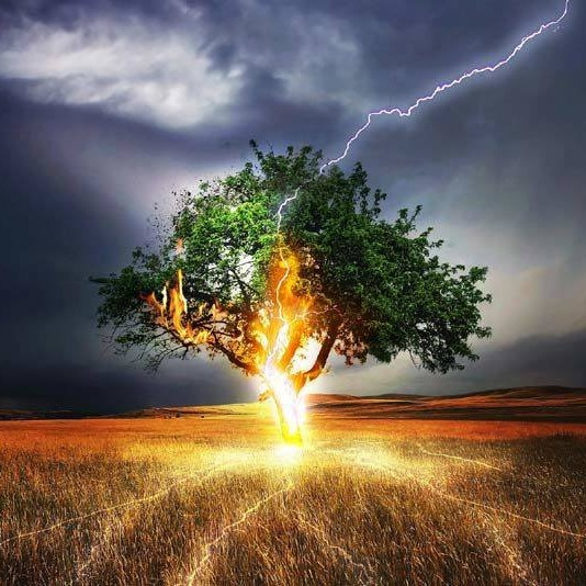 Максим Смирнов