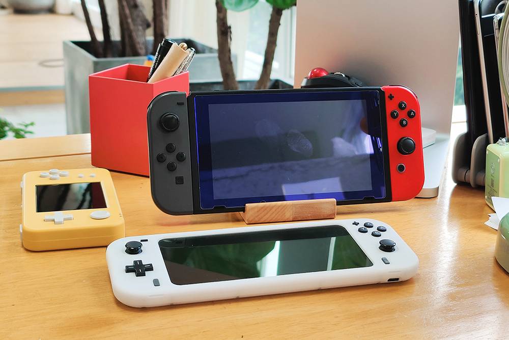 Nintendo Switch и Switch Lite. Источник: Jack Skeens / Shutterstock