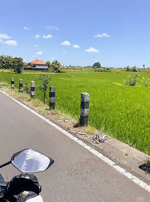 Виды Бали по дороге из центра острова к побережью