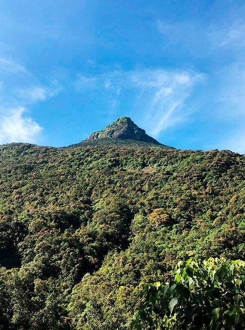 Пик Адама не видно практически ниоткуда, кроме как от подножья