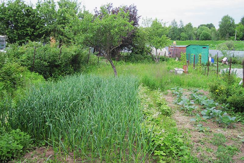 Где разместить объявление о продаже земли бесплатно