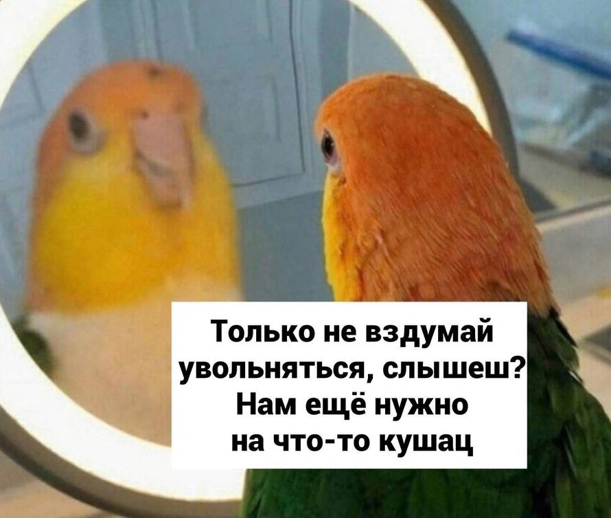 Изображение пользователя Elena Lori