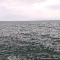 Светлана Коболева