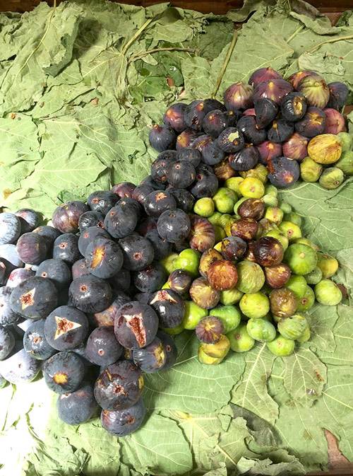 инжир витамины и микроэлементы. 100 грамм инжира. инжир в коробке свежий. инжир калорийность. вес одного инжира.