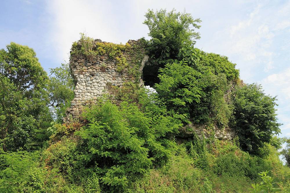 Почти весь замок оплели растения. Это придает ему еще более древний и таинственный вид. Источник: v-georgia.com
