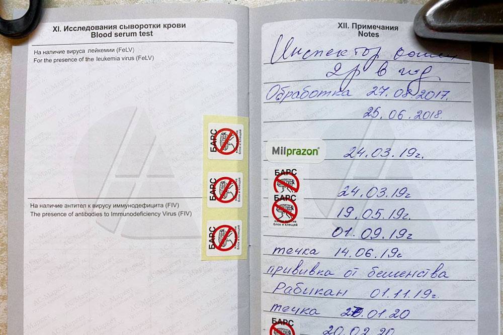 В упаковке любого собачьего препарата есть наклейки, которые нужно вклеивать в ветпаспорт. Благодаря этим пометкам вы не пропустите очередную обработку, а ветеринар сможет легко собрать анамнез
