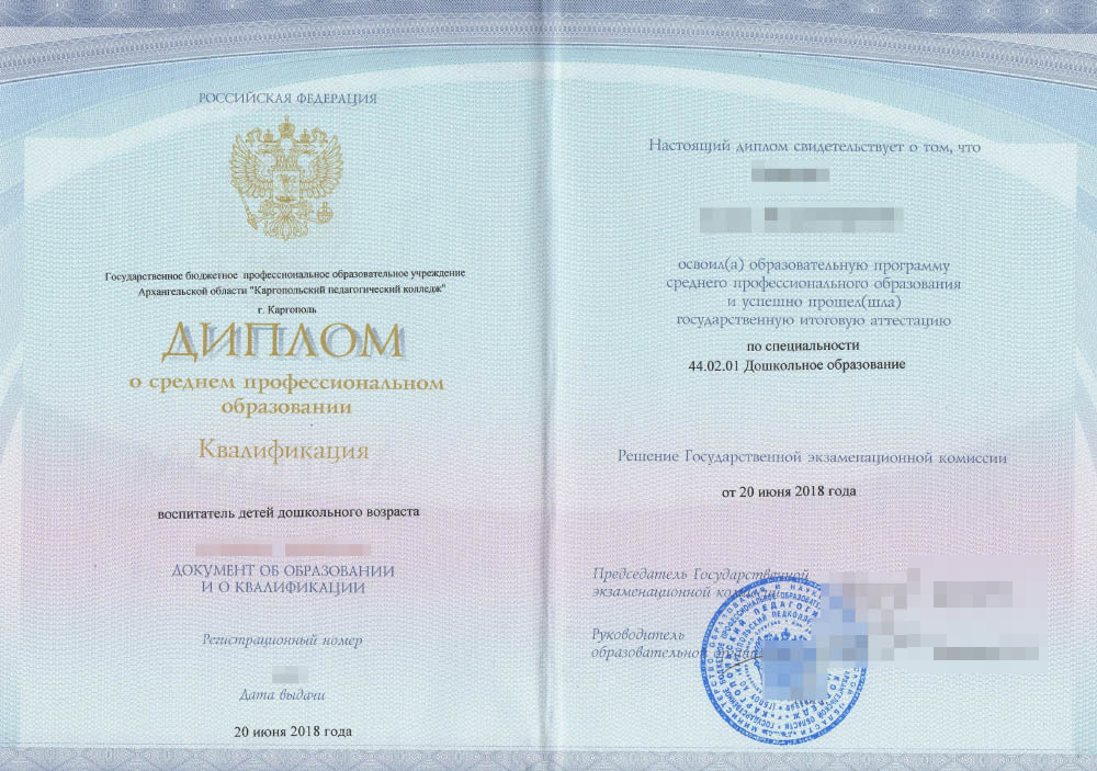 Так выглядит диплом, который выдают после окончания колледжа. Источник:&nbsp;uchportfolio.ru