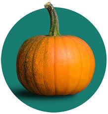 pumpkin spice