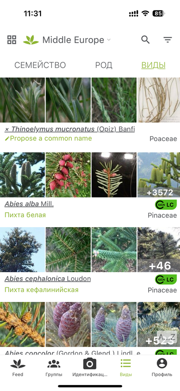Изображение пользователя Анастасия Яблокова