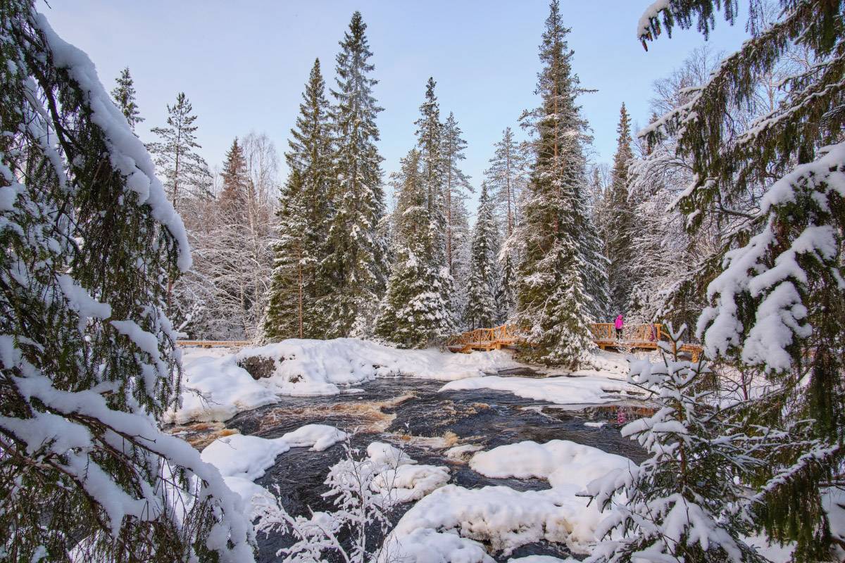 На водопадах бурая вода, среди снегов это смотрится особенно необычно. Фото:&nbsp;Aleksey Ozhegin&nbsp;/ Shutterstock