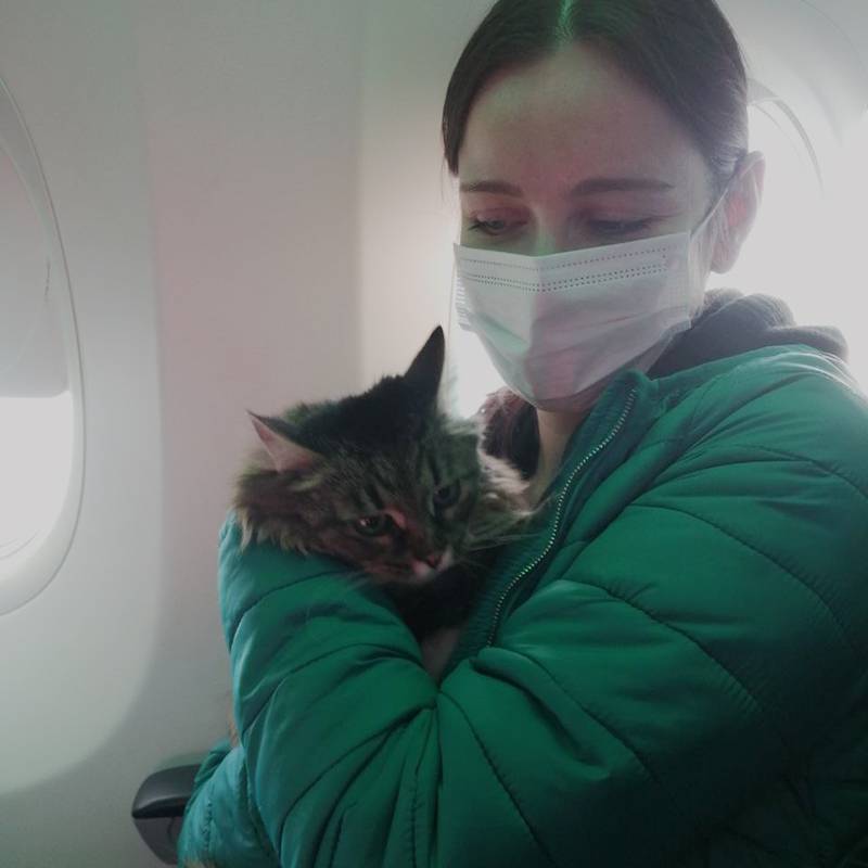 Кошка была не в восторге от второго перелета за осень, но дома быстро успокоилась
