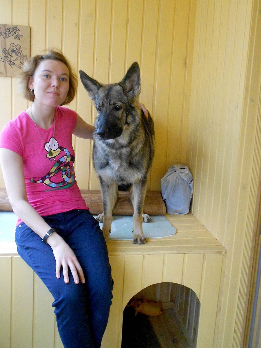 На лоджии сделали будку — «кабинет» для собаки. Сыщик она или нет?